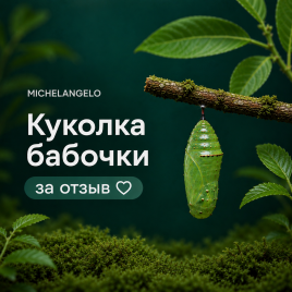 Куколка бабочки за отзыв